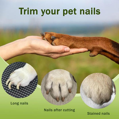 2-In-1 Pet Nail Clipper and Grinder, Dog Nail Clipper Trimmer, Ultra Quiet Electric Nail Set, Rechargeable, Suitable for Trimming Toes and Claws of Dogs and Cats of All Sizes