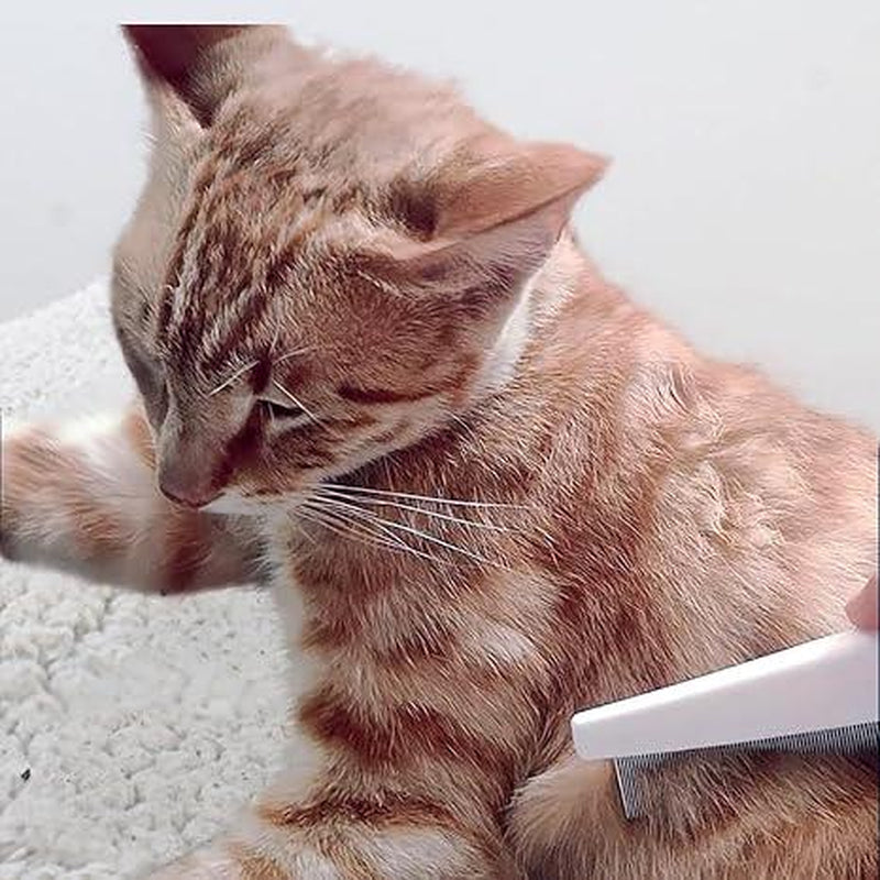 2 Pack Multifunctional Pet Comb, Upgrade Pet Grooming Brush Fine Magic Tear Stain Removal, Fine-Tooth Stainless Massage Comb Kit for Small Puppies and Dogs (White)