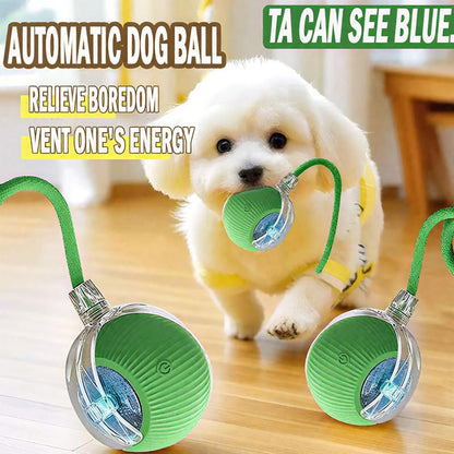 ROZINO 2025 Interactive Dog Cat Toys Durable USB Rechargeable Automatic Rolling Ball with Obstacle Avoidance for Small Medium Large Pets
